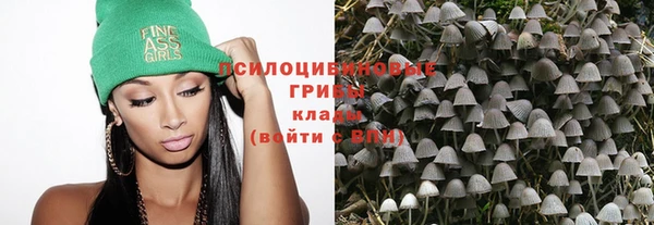 мдпв Тутаев