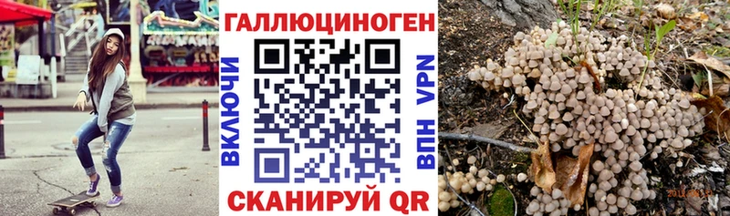 купить  сайты  Королёв  Псилоцибиновые грибы Psilocybine cubensis 